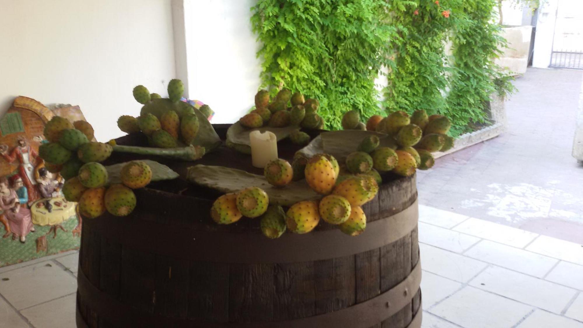 Li Pappi Antico Casale Bed & Breakfast Galatina Exterior foto